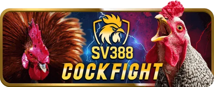 Lợi ích VIP 8day8