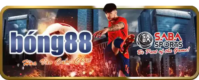 Quy tắc cá cược 8day8